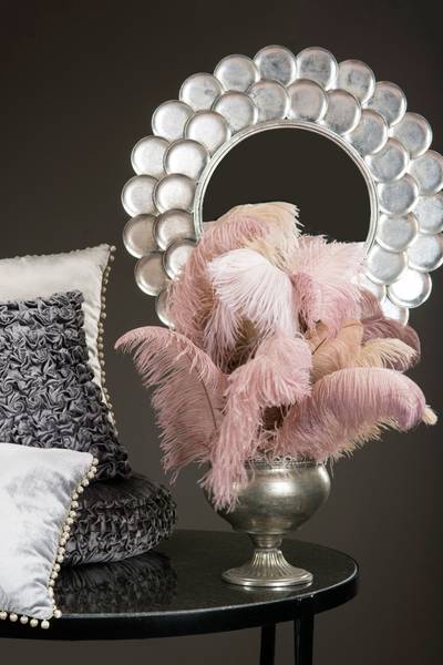 Strutsefj&aelig;r hvit