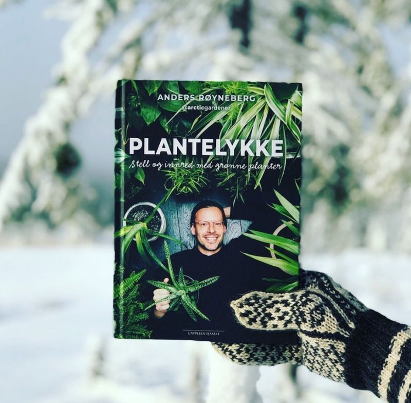 Plantelykke, stell og innred med grønne planter