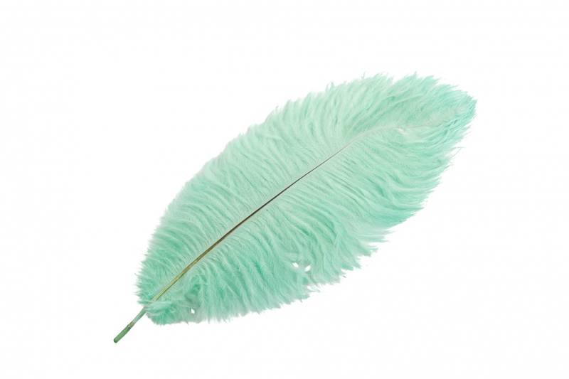 Strutsefjær turkis 35-40cm